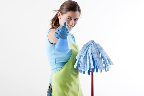Professional Hounslow cleaner introducing the company and service values