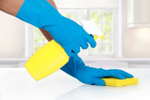 Accessible Hounslow Cleaner webpage with inclusive design features