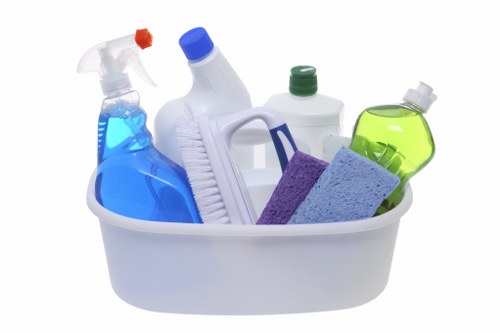 Domestic cleaning equipment prepared for a Hounslow property