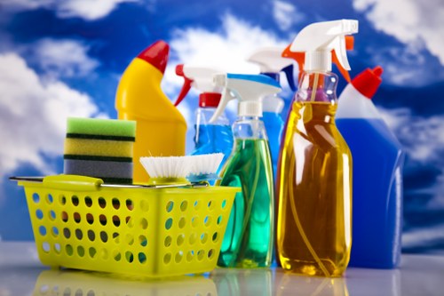 Professional home cleaners in Hounslow working in a living room