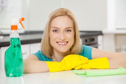 Professional cleaner in Hounslow cleaning a modern living room