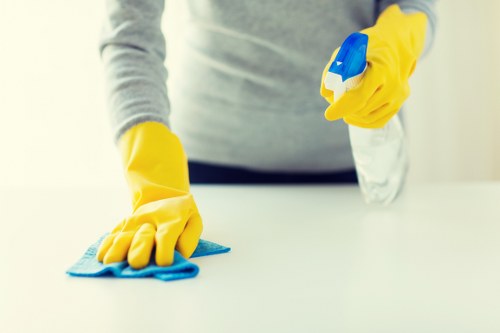 Domestic cleaning service in Hounslow focusing on kitchen surfaces