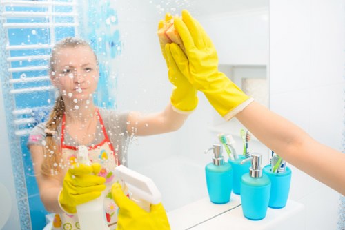 Professional cleaner working carefully in a well-organised property