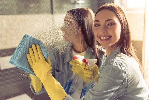 Closing statement about safe cleaning practices