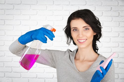 Flexible domestic cleaning service in Hounslow for busy households