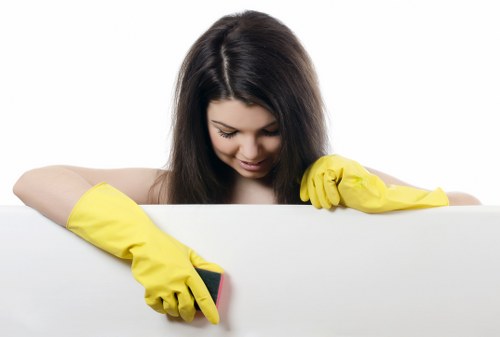 Inclusive cleaning service information for the Hounslow area